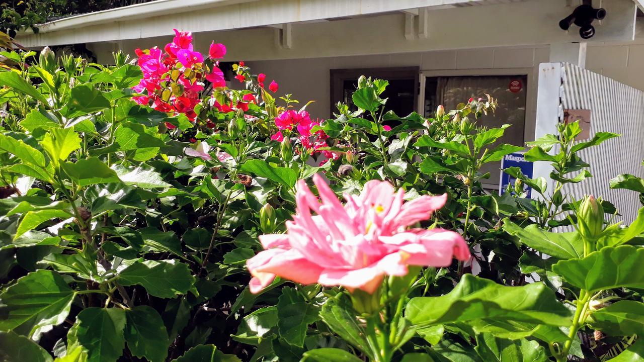 Herons Reef Holiday Apartments ราโรทองกา ภายนอก รูปภาพ