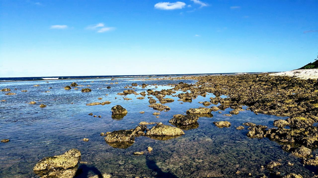 Herons Reef Holiday Apartments ราโรทองกา ภายนอก รูปภาพ